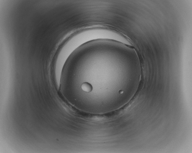 X0000113310350200909281129