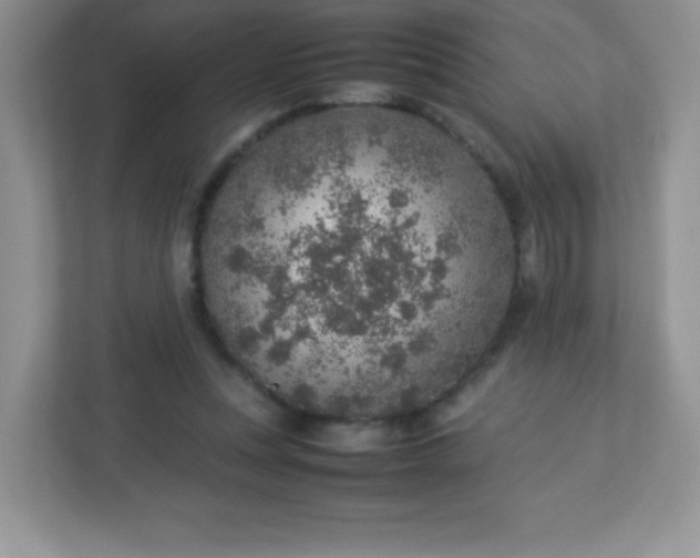 X0000113310351200909281129