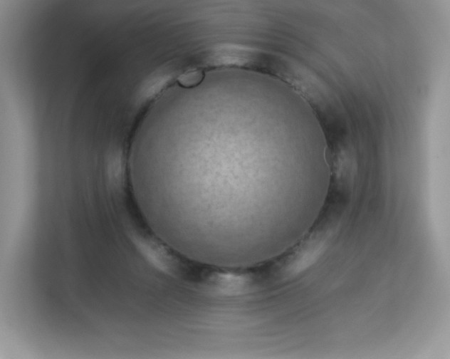 X0000113310352200909281129