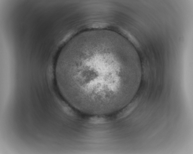 X0000113310354200909281129