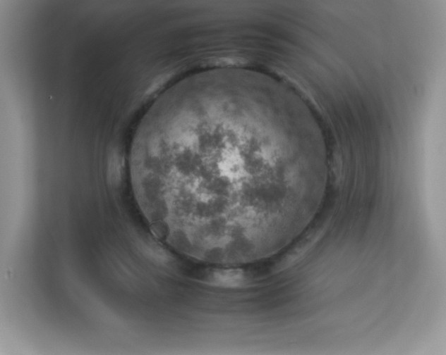 X0000113310355200909281129