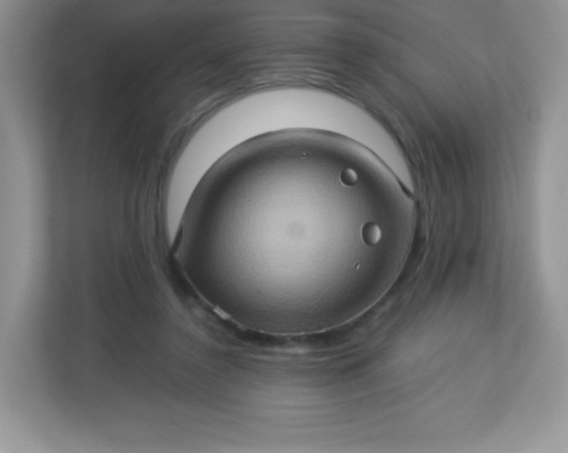 X0000113310356200909281129