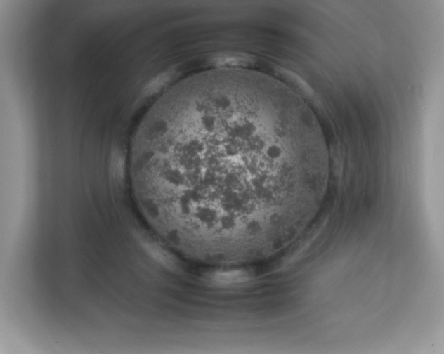 X0000113310357200909281129