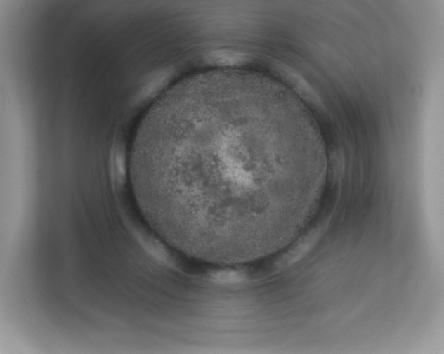 X0000113310358200909281129