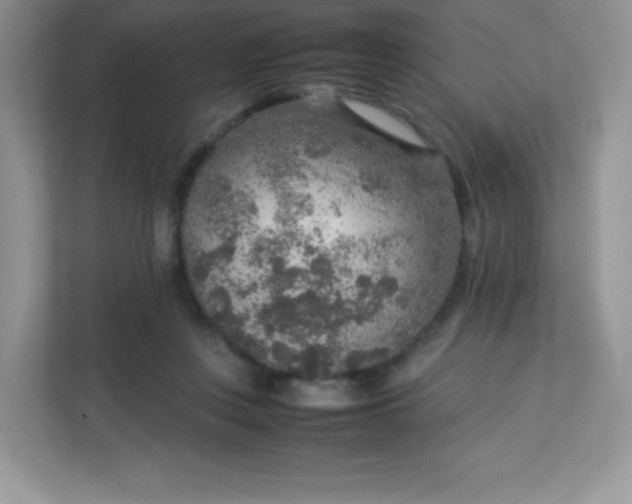 X0000113310359200909281129