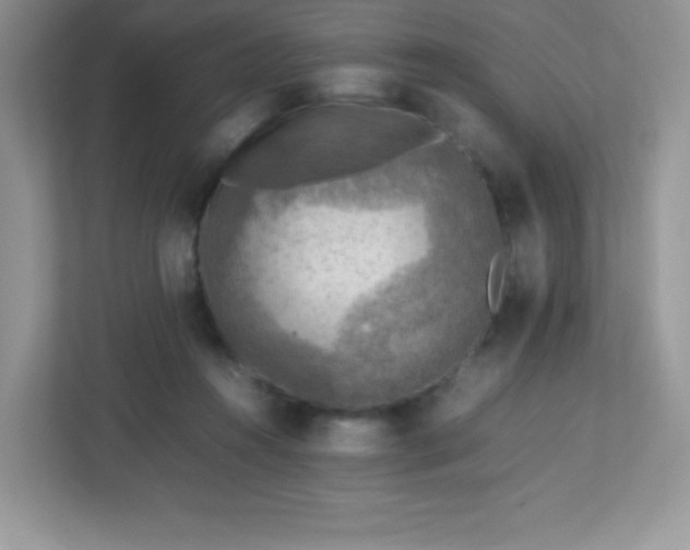 X0000113310360200909281129