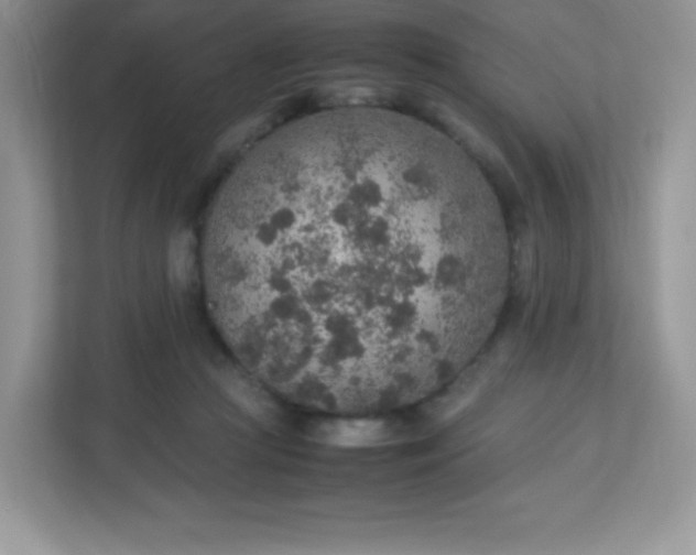 X0000113310361200909281129