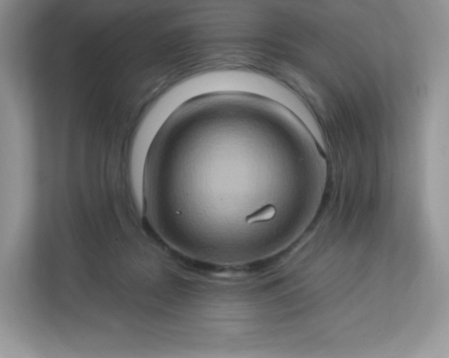 X0000113310362200909281129