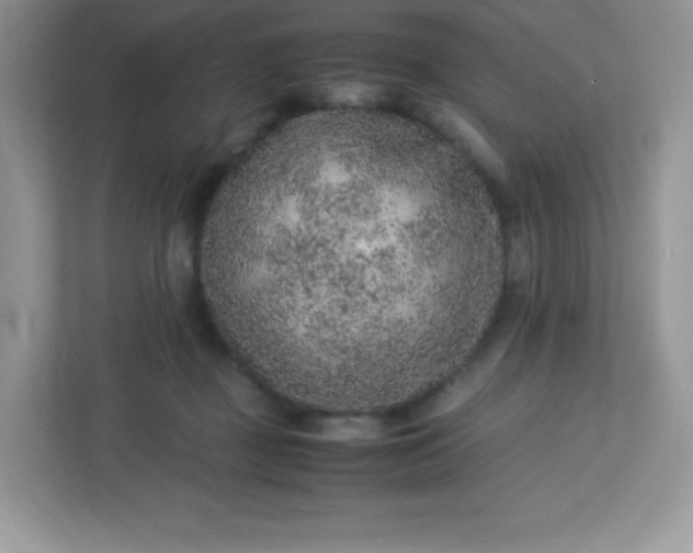 X0000113310363200909281129