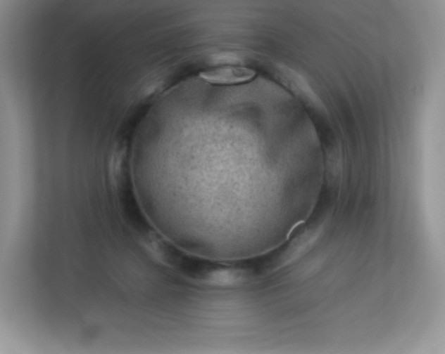 X0000113310364200909281129