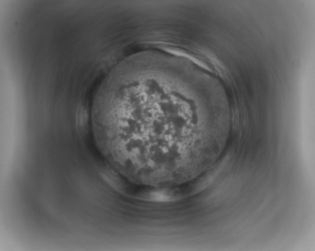 X0000113310365200909281129