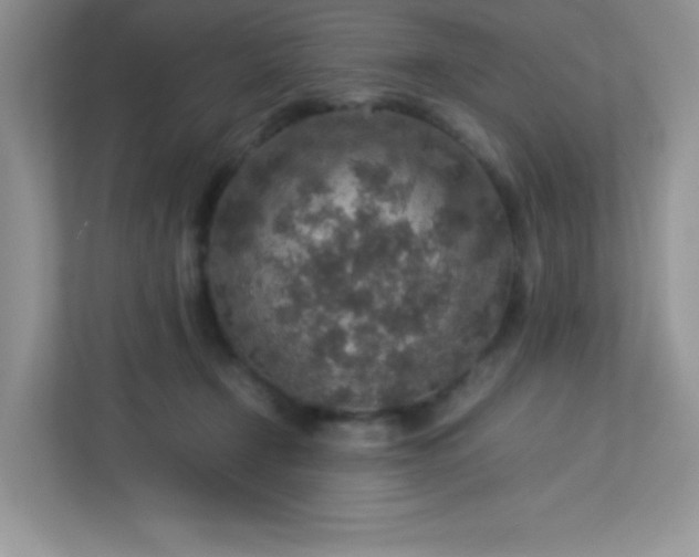 X0000113310366200909281129