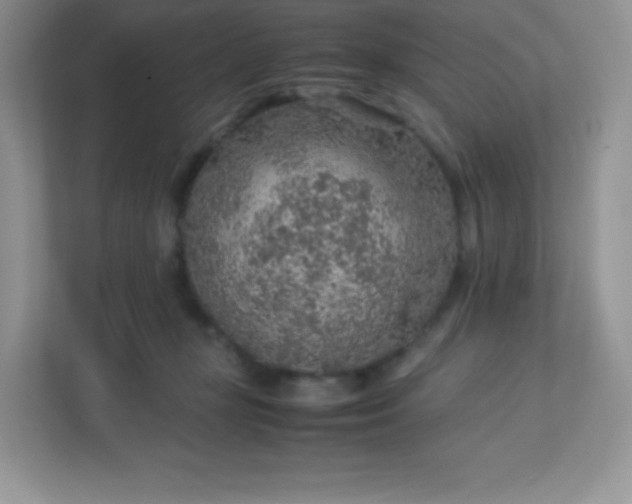 X0000113310367200909281129