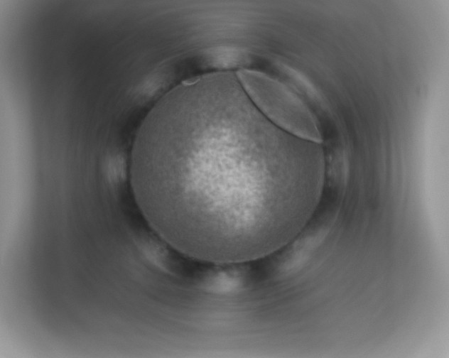 X0000113310368200909281129