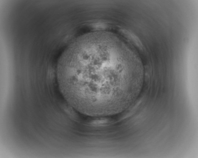 X0000113310369200909281129