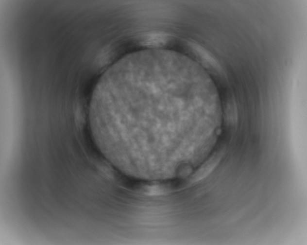 X0000113310370200909281129