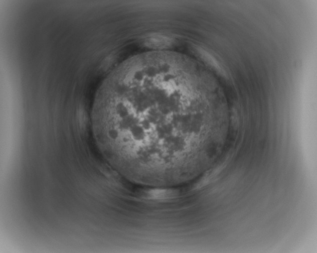 X0000113310371200909281129