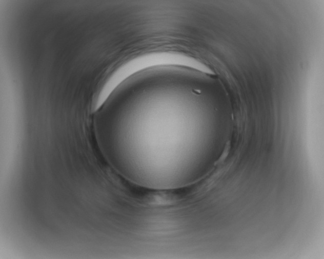 X0000113310372200909281129