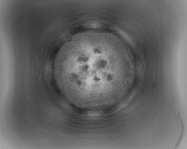 X0000113310373200909281129