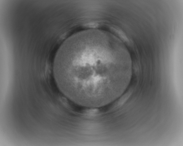 X0000113310374200909281129