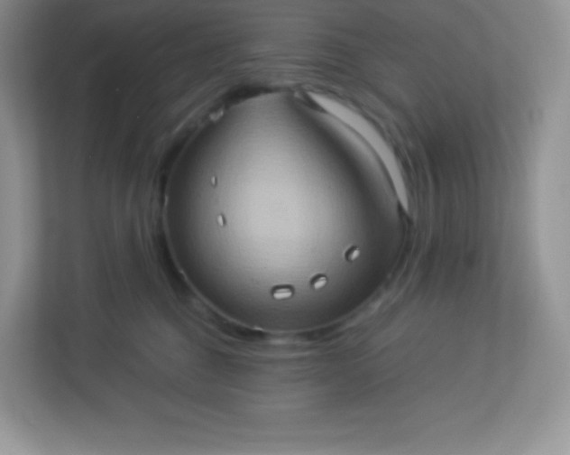 X0000113310376200909281129