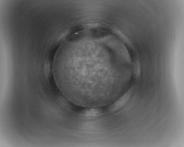 X0000113310378200909281129