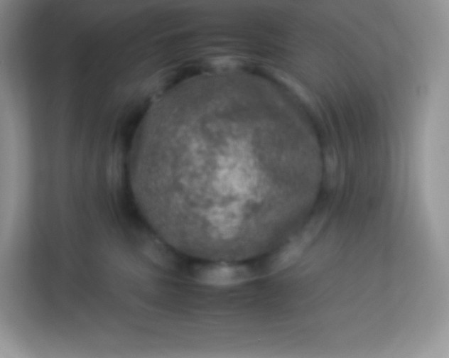 X0000113310379200909281129