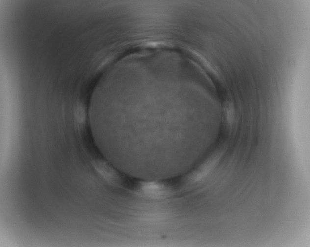 X0000113310380200909281129