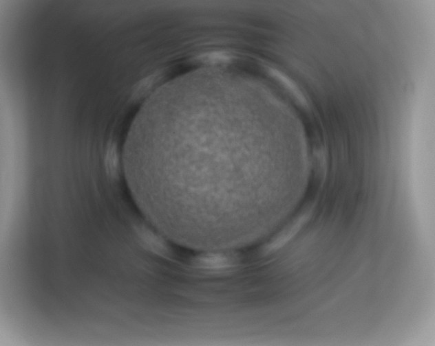 X0000113310381200909281129