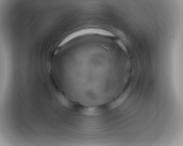 X0000113310382200909281129