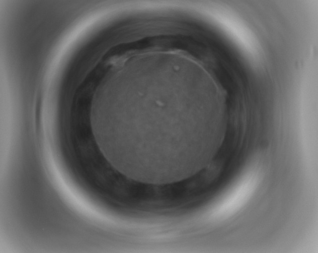 X0000113310383200909281129