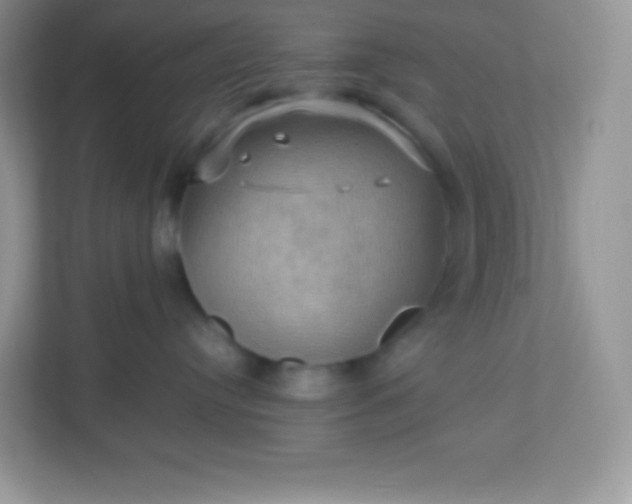 X0000113310384200909281129