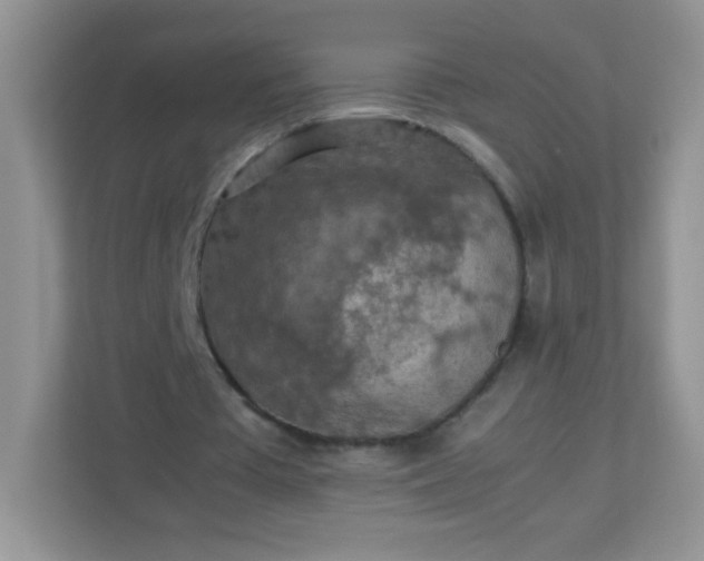 X0000113310385200909281129