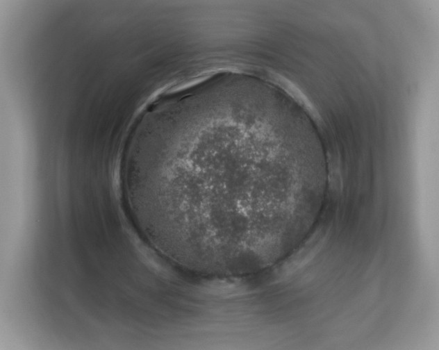 X0000113310386200909281129