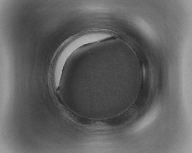 X0000113310387200909281129