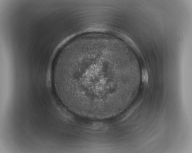 X0000113310388200909281129