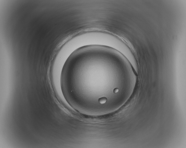 X0000113310389200909281129