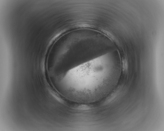 X0000113310390200909281129