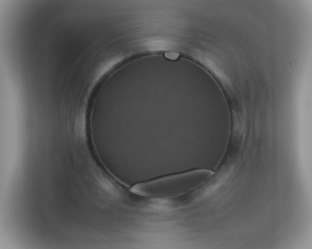 X0000113310391200909281129