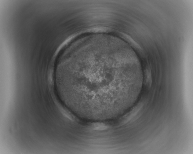 X0000113310392200909281129