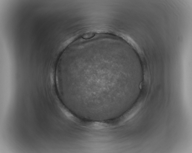 X0000113310393200909281129