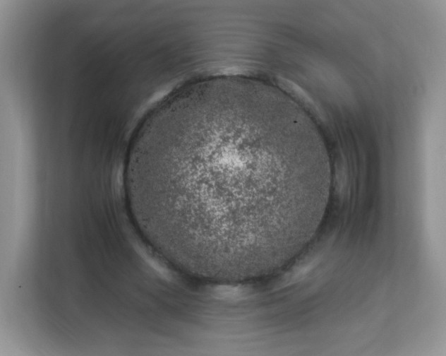 X0000113310394200909281129