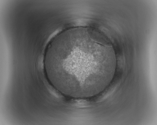 X0000113310395200909281129