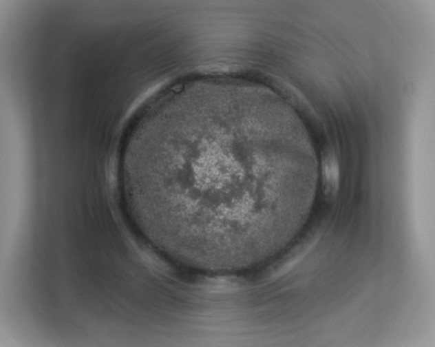 X0000113310396200909281129