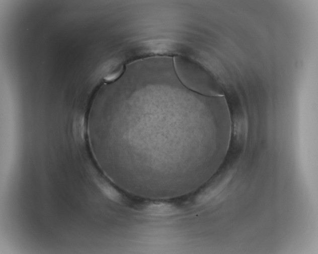 X0000113310397200909281129