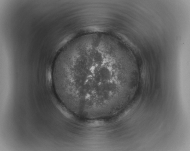 X0000113310398200909281129