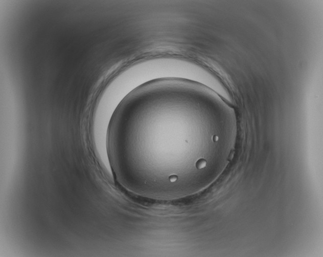 X0000113310399200909281129