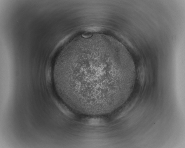 X0000113310400200909281128