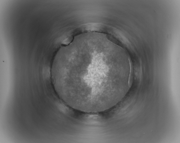 X0000113310401200909281128