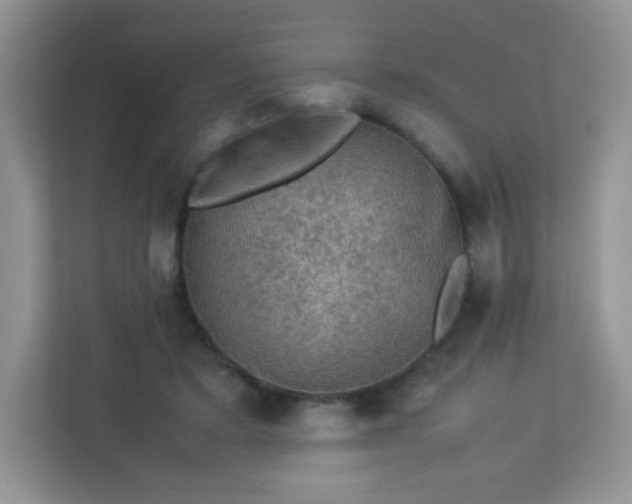 X0000113310403200909281128